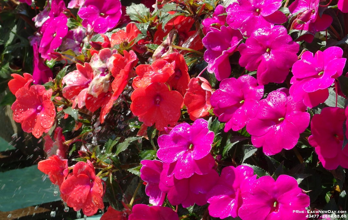 43477CrLe - Touring old Lucerne